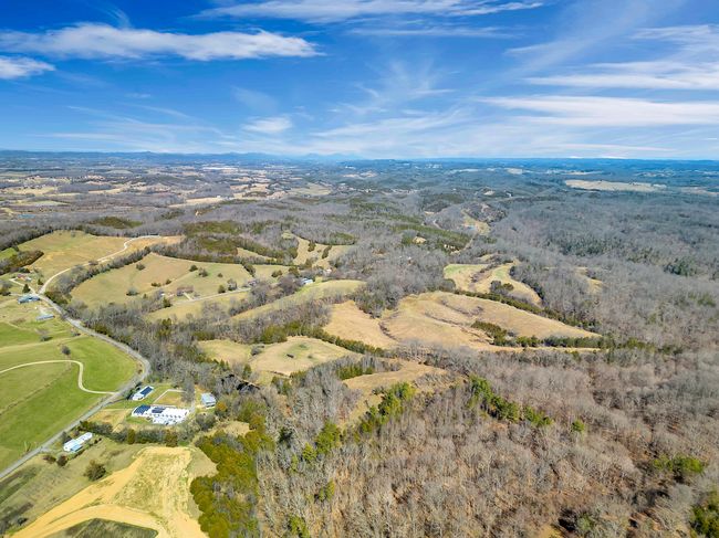 265 - 24265 S Mohawk Rd, Home with 0 bedrooms, 0 bathrooms and null parking in Mohawk TN | Image 21