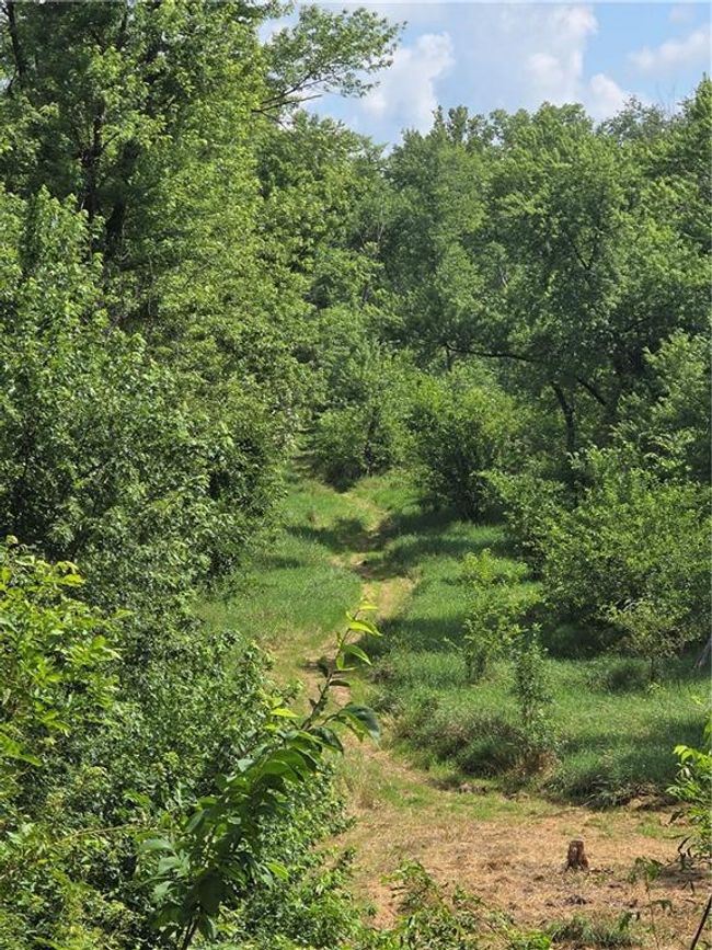 View of wooded area | Image 48
