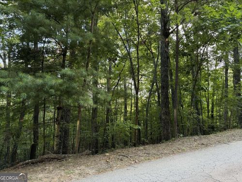 46-LOT 46 Fox Run Drive, Blue Ridge, GA, 30513 | Card Image