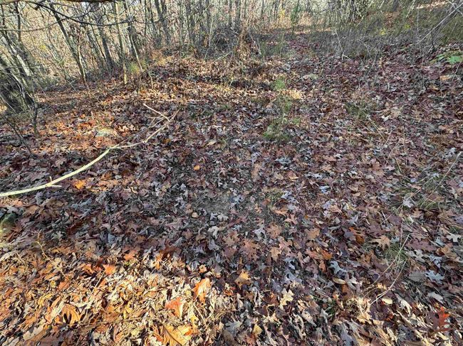 00 Calico Rd, Home with 0 bedrooms, 0 bathrooms and null parking in Clinton AR | Image 23