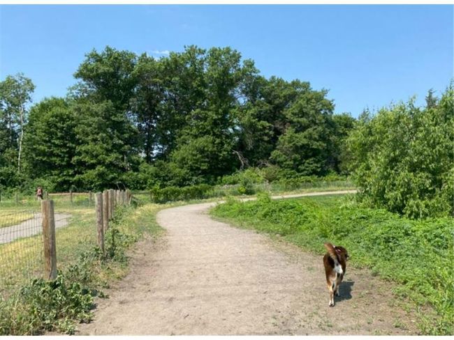 For your fur babies the Shakopee dog park is less than 3 miles away. | Image 28
