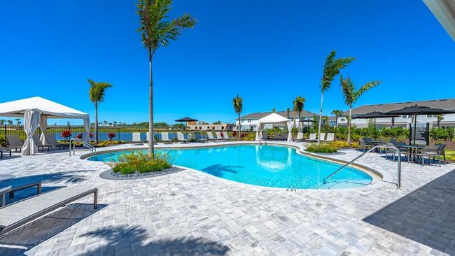 The Townhomes at Azario Lakewood Ranch Community Amenities | Image 14