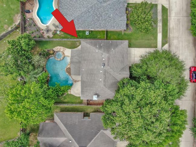 TREES FRONT AND BACK | Image 40