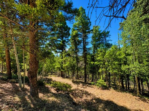 Lot 190 Taos Dr, Angel Fire, NM, 87710-8269 | Card Image