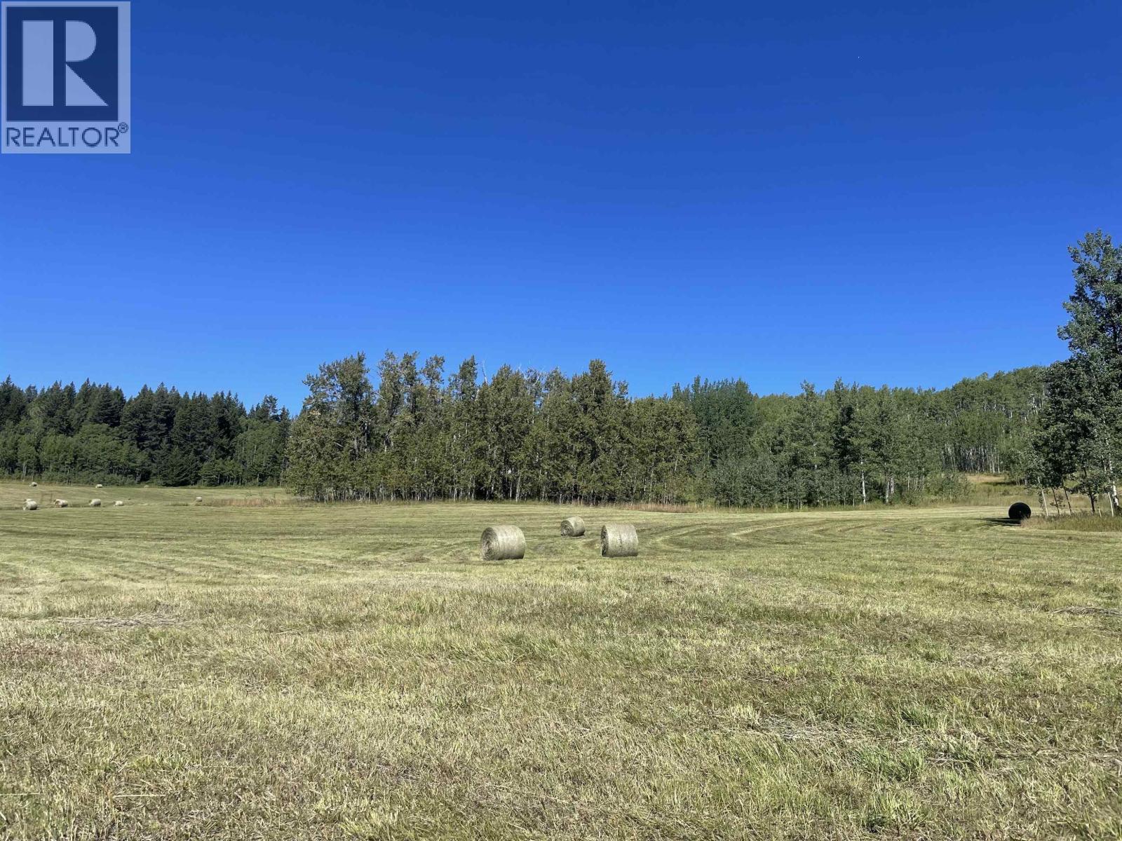 Land in Bridge Lake