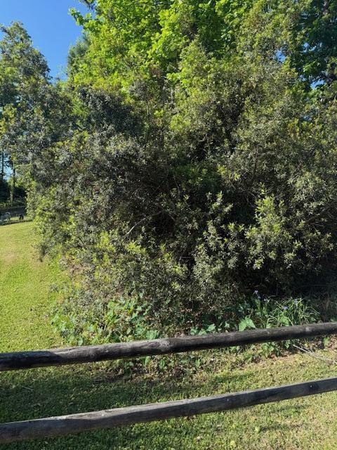 Land in Hanahan 2
