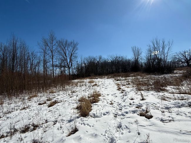 0 Dean Rd, Home with 0 bedrooms, 0 bathrooms and null parking in Brown City MI | Image 13