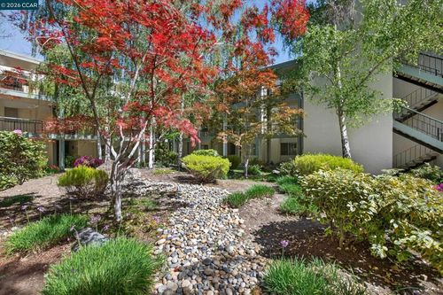 apt-2a-1621 Ptarmigan Dr, Walnut Creek, CA, 94595-3656 | Card Image
