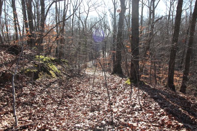 Maybe a logging road | Image 50