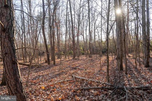 0 Woodland Dr, LURAY, VA, 22835 | Card Image