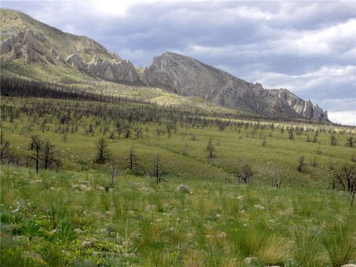 nhn Ranger Way, Belfry, MT, 59008 | Card Image