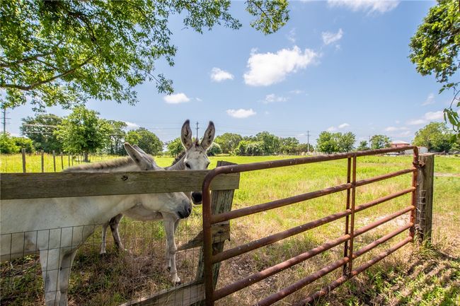 Gate with a view of rural / pastoral area | Image 45