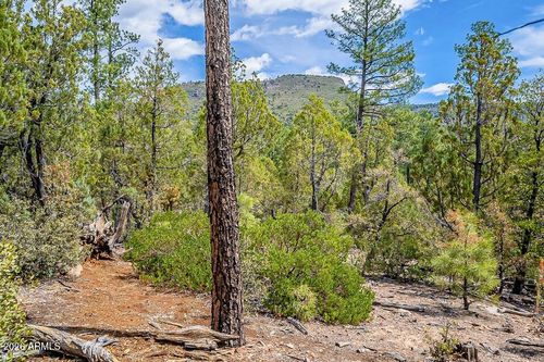1b-0 N Fawn Dr, Pine, AZ, 85544 | Card Image
