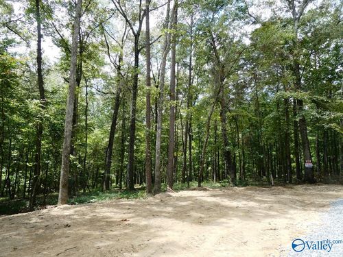 Lot 50 Harbor Loop, Jasper, AL, 35504 | Card Image