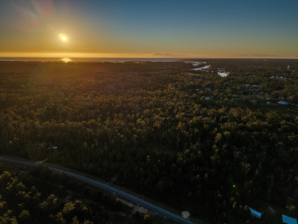 Land in Steinhatchee 2