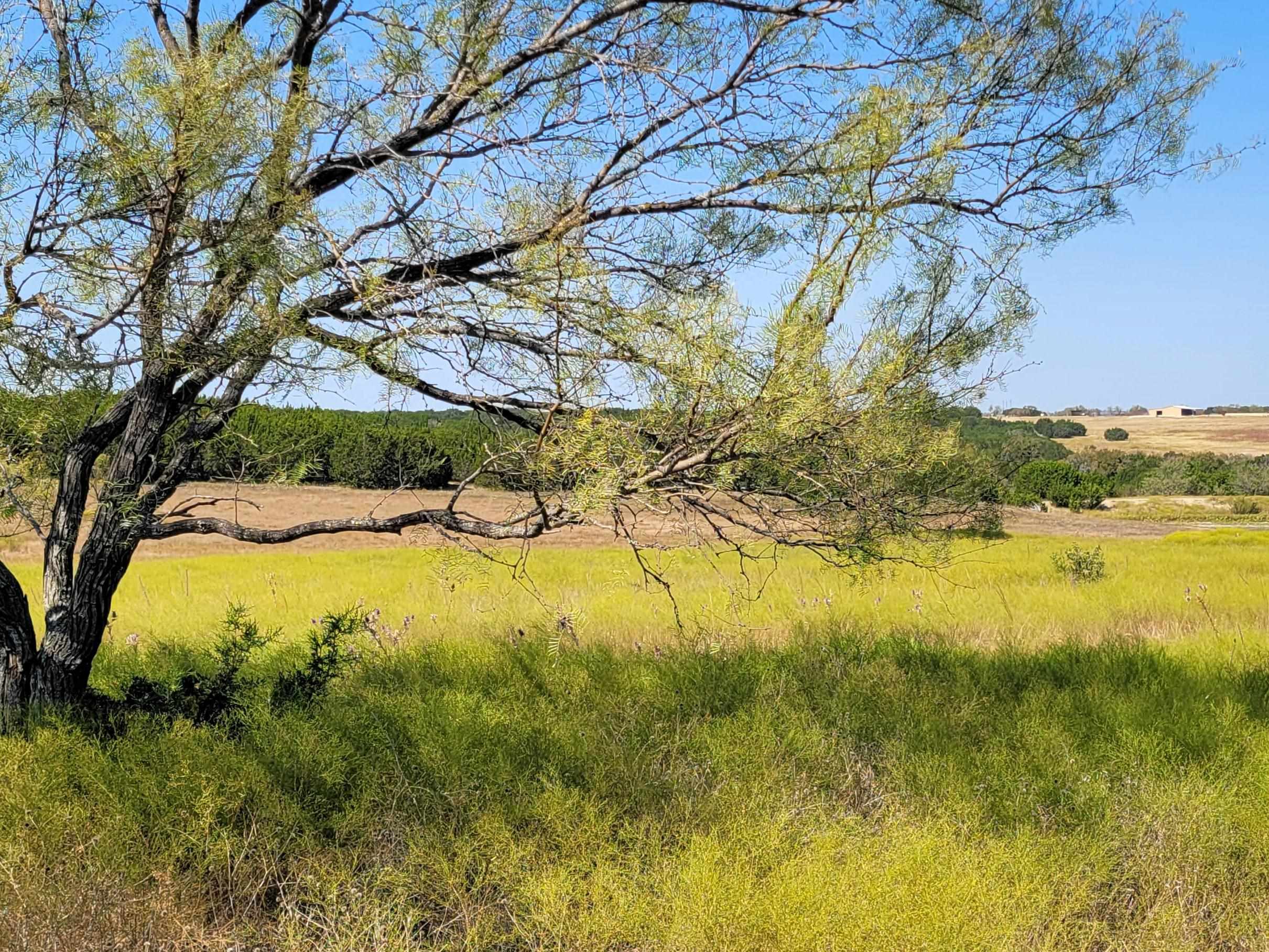 Farm in Burnet 3