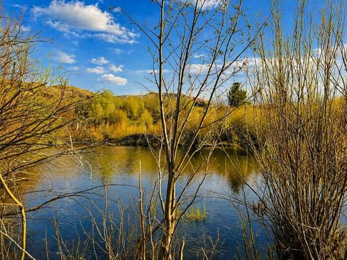 TBD Clear Creek Trl, Anaconda, MT, 59711 | Card Image