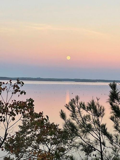 4001 Carters Ferry Rd E, Milam, TX, 75959-3412 | Card Image