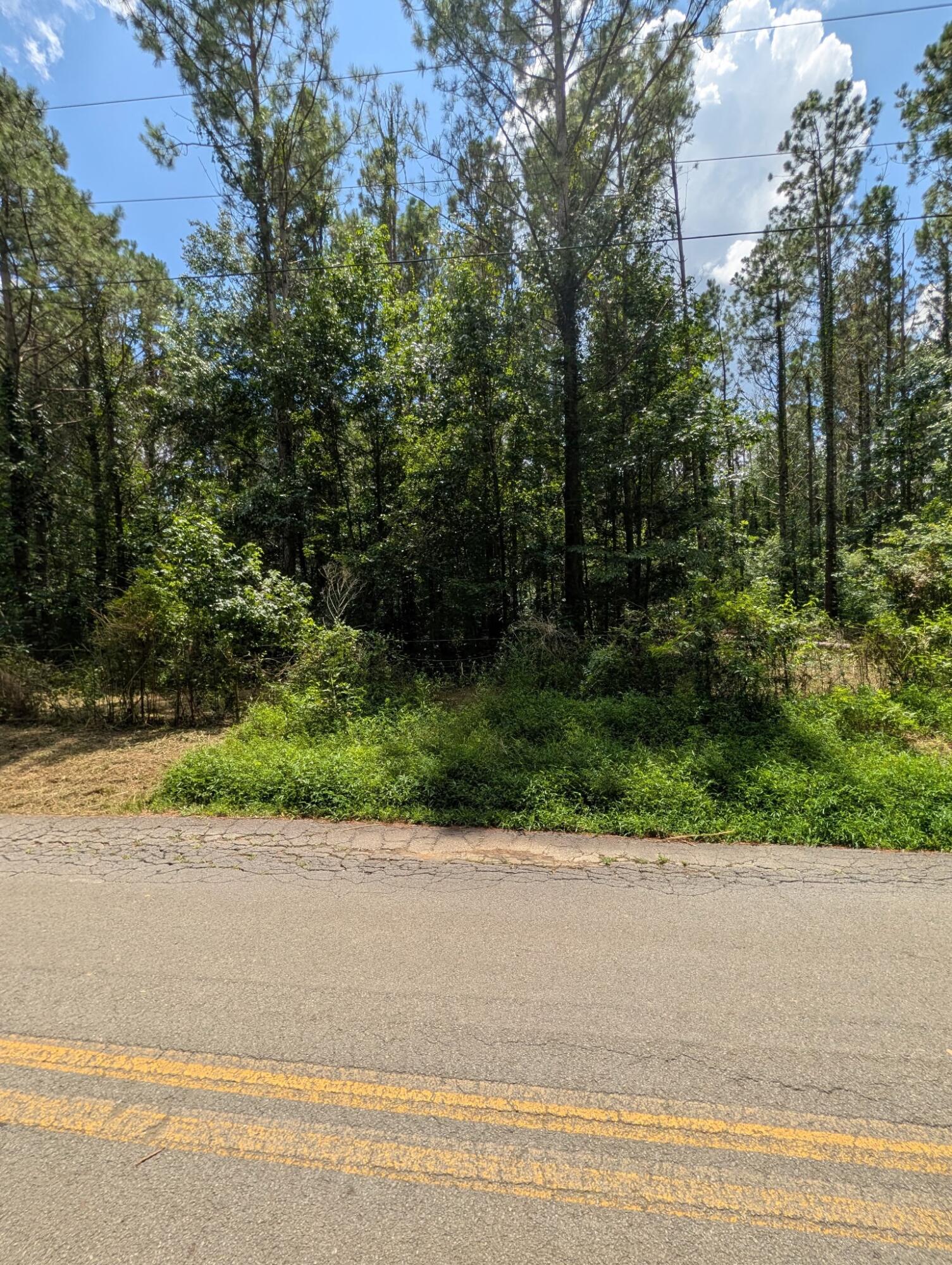 Land in Old Fort 2