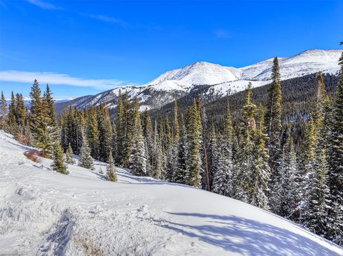 484 Carroll Ln, BRECKENRIDGE, CO, 80424 | Card Image
