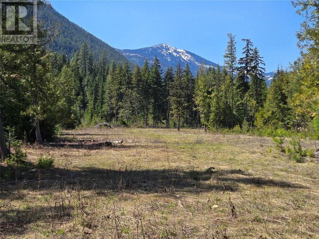 3809 Passmore Upper Rd, Home with 0 bedrooms, 0 bathrooms and null parking in Passmore BC | Image 17