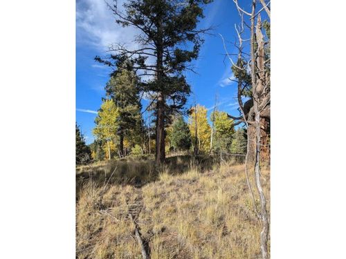 303 View Crest Way, Florissant, CO, 80816-8822 | Card Image