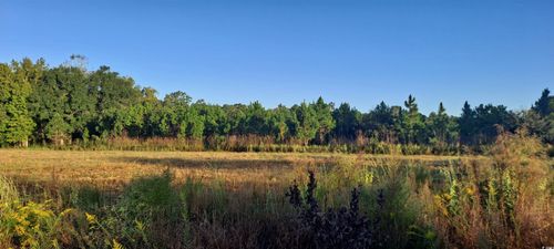 TBD Wee Tee Rd, Andrews, SC, 29510 | Card Image