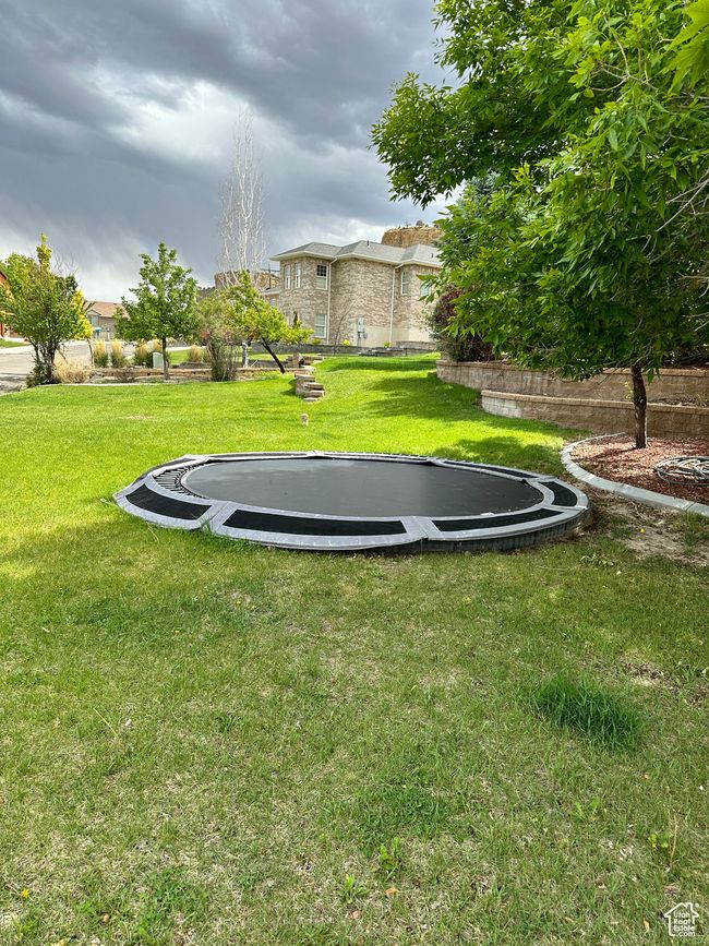 View of green lawn with a trampoline | Image 5