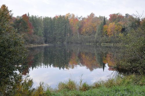 X Flambeau Ave, Ladysmith, WI, 54848 | Card Image