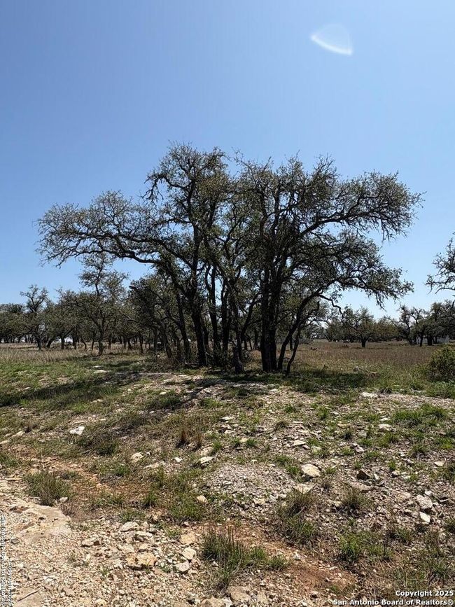 LOT 123 Fallow Drive, Home with 0 bedrooms, 0 bathrooms and null parking in Harper TX | Image 14