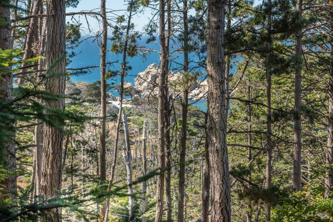 34601 S Highway 1 None, House other with 0 bedrooms, 0 bathrooms and 4 parking in Gualala CA | Image 19