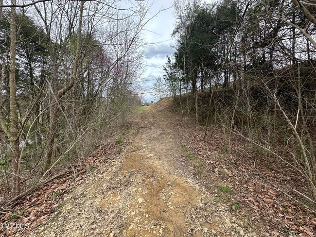 349 Old Highway Rd, Home with 0 bedrooms, 0 bathrooms and null parking in Bulls Gap TN | Image 12