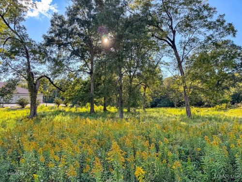 0 N Jackson St, Grove Hill, AL, 36451 | Card Image