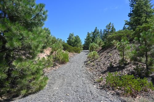 7 Kirby Ct, Burney, CA, 96013 | Card Image