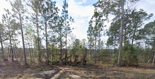 TBD Union Ave, Interlachen, FL, 32148 | Card Image
