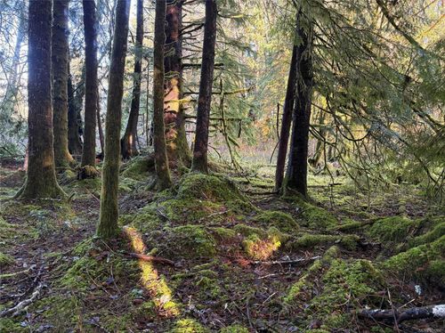 Lot B Highway 16, See Remarks, BC, V0T1R0 | Card Image