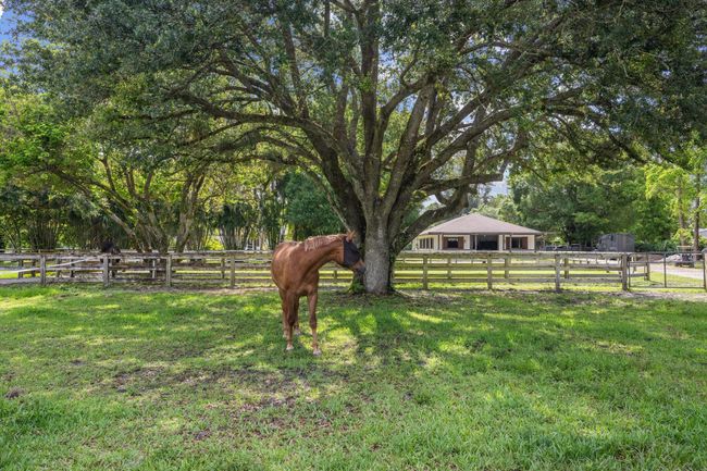 3442 C Rd, House other with 2 bedrooms, 2 bathrooms and null parking in LOXAHATCHEE FL | Image 38
