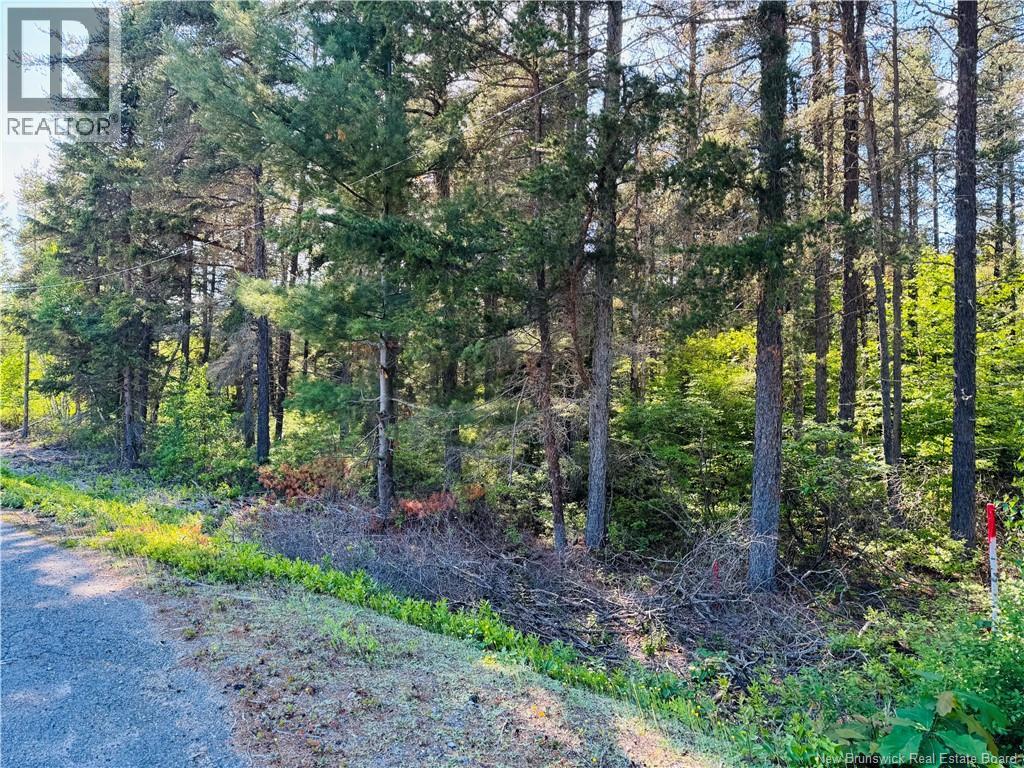 Land in Miramichi 5