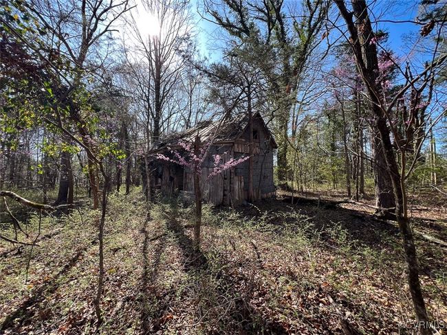 View of yard featuring an outbuilding, a wooded view, and a barn | Image 12