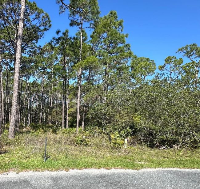 176 Shadow Bay Dr, Home with 0 bedrooms, 0 bathrooms and null parking in Eastpoint FL | Image 8