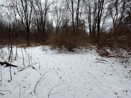 Vacant Ecorse Road, Romulus, MI, 48174 | Card Image