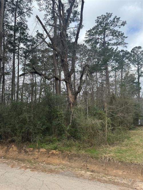 14871 Fannin Rd, Willis, TX, 77378-3787 | Card Image