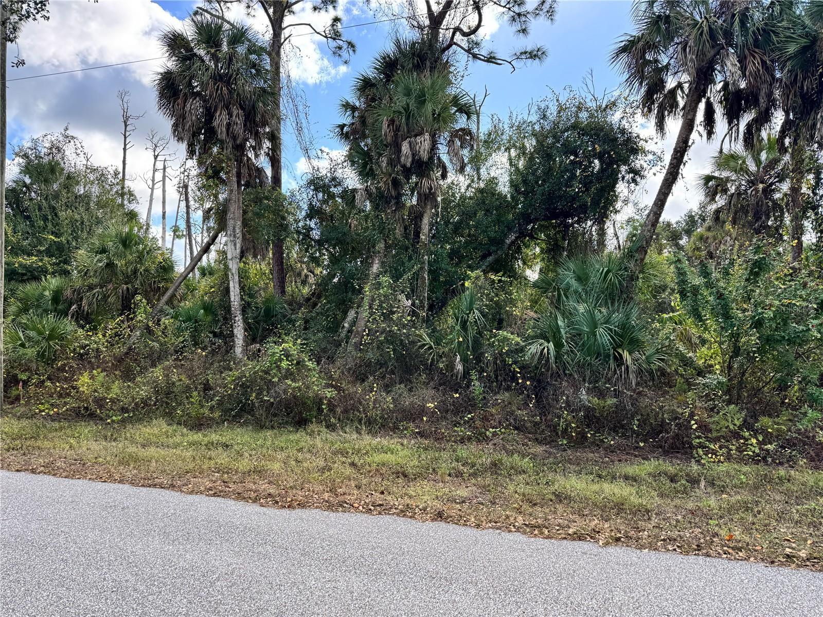 Land in PORT CHARLOTTE 3
