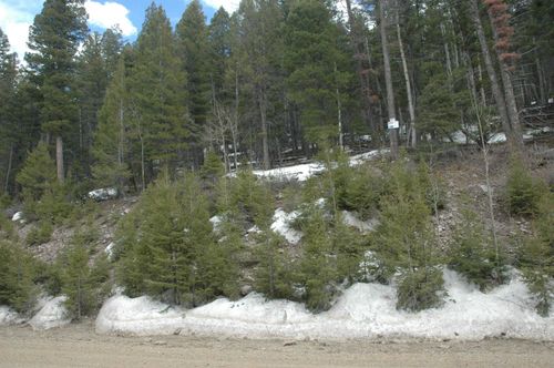 lot 147 chalets Back Basin Rd, Angel Fire, NM, 87710 | Card Image