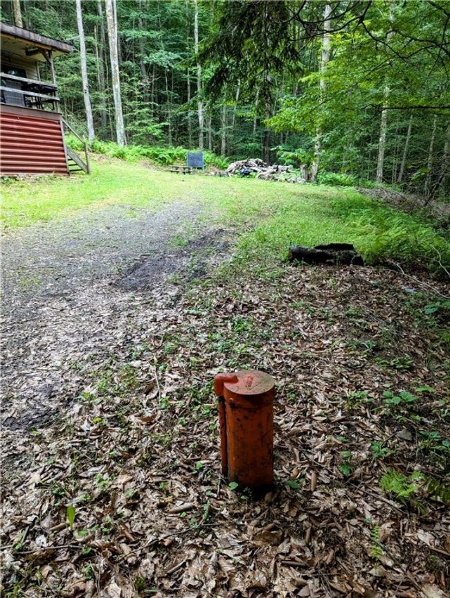 198 Spring Run Rd, Home with 1 bedrooms, 1 bathrooms and null parking in Smethport PA | Image 30