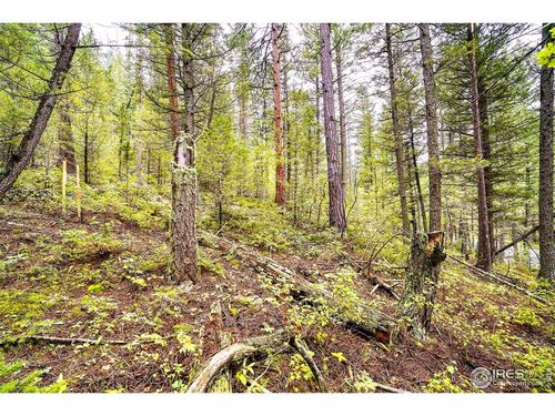 10862 Twin Spruce Rd, Golden, CO, 80403-7318 | Card Image