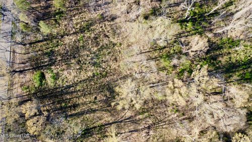 5370 Clinton Tinnin Rd, Jackson, MS, 39209 | Card Image