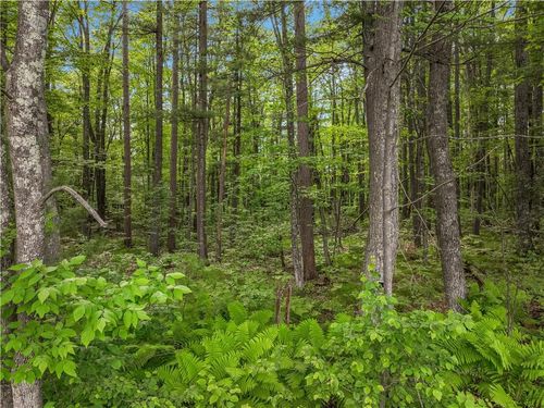 Off of Mc Claine Road, ROUND LAKE, WI, 54843 | Card Image