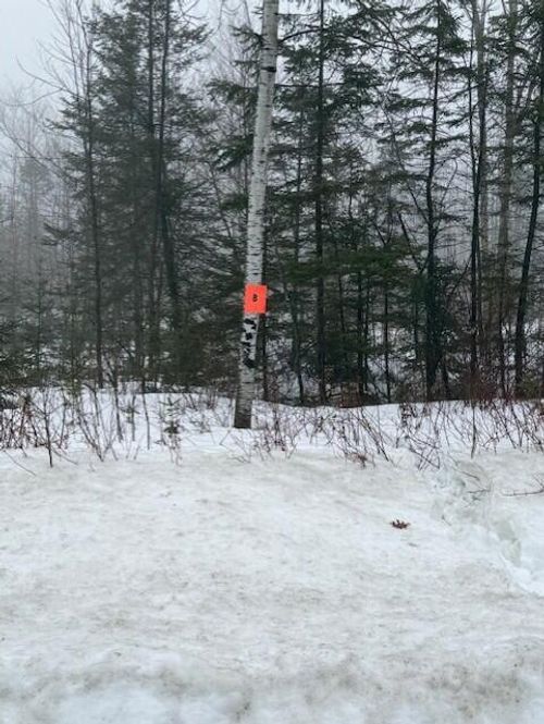 B Mcdonald Road, Castle Hill, ME, 04757 | Card Image