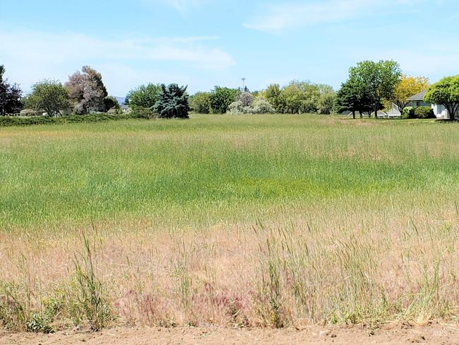 0 Scotch Pines Rd, Home with 0 bedrooms, 0 bathrooms and null parking in Payette ID | Image 4